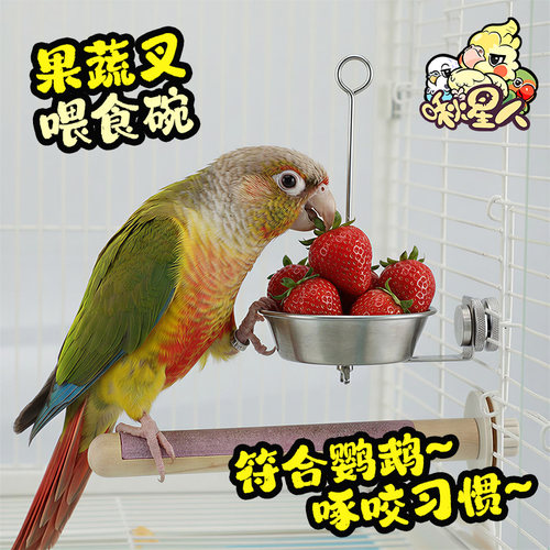 不锈钢水果蔬菜喂食碗防叼鸟食盒