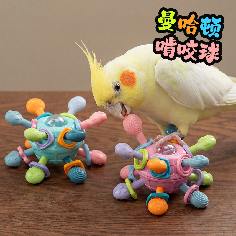 啾星人鹦鹉啃咬玩具球娱乐解闷图片