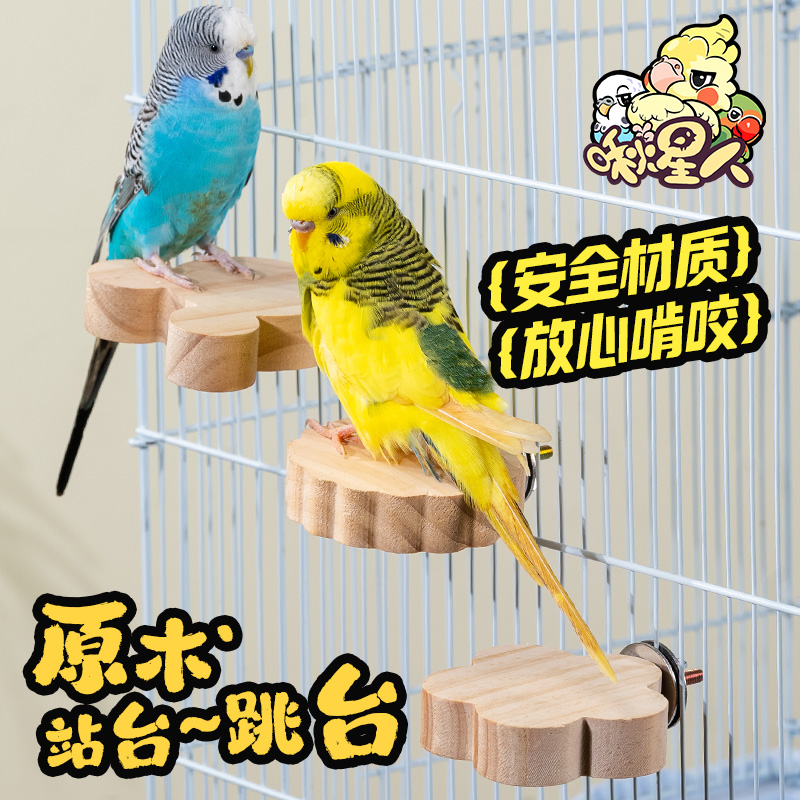 啾星人鹦鹉鹦鹉跳台扩展空间