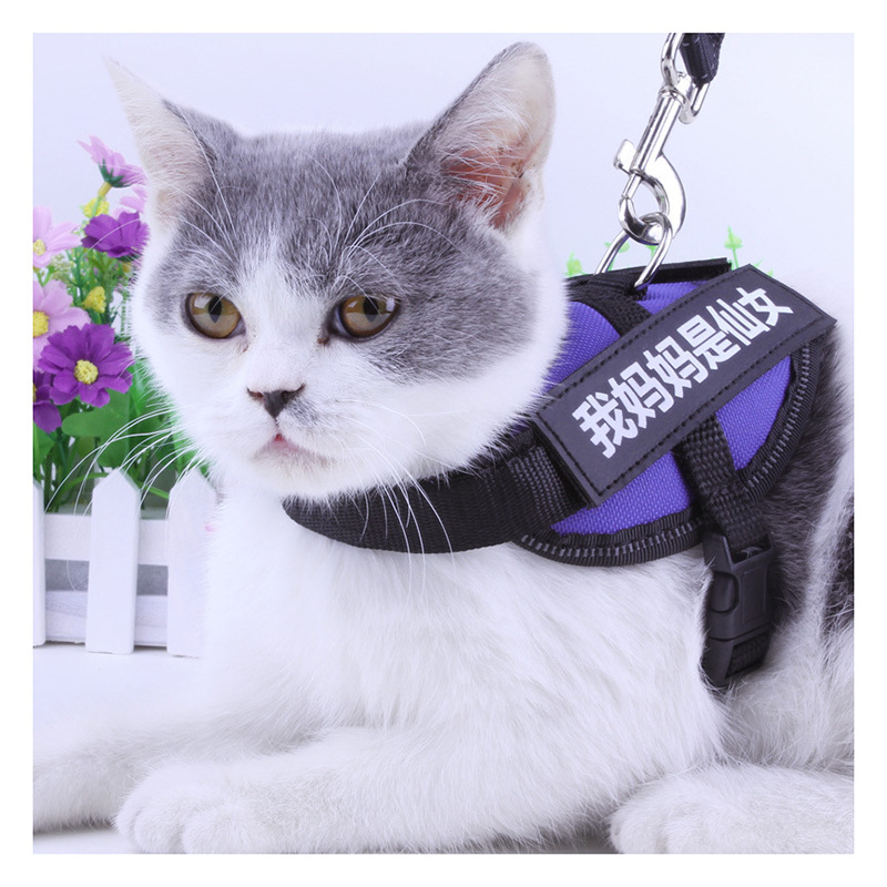 leash dog leash dog supplies pet leash dog chain  su