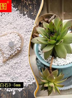 多肉花盆砂石造景小白石沙子七彩色彩石0.3-0.6cm装饰铺面小石头