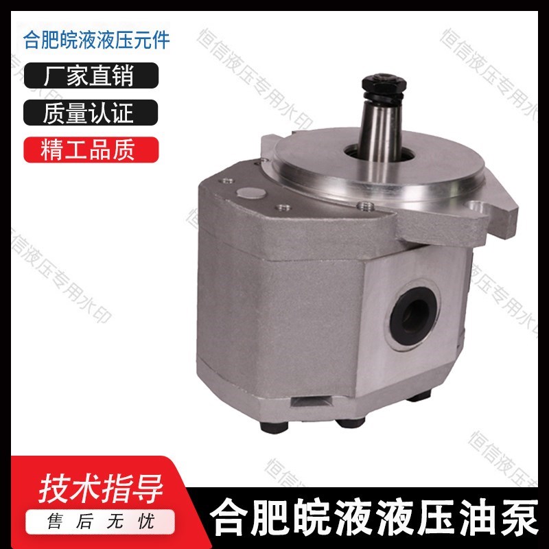 合肥皖液齿轮泵CBG-2032/2040/2050/2063/2080/2100/2110-BF 油泵