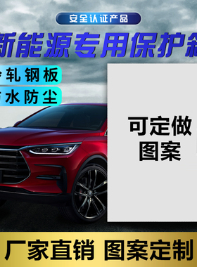 适用蔚来理想比亚迪特斯拉modelYmodel3电箱充电桩保护箱定制图案