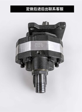 新品促液压油泵齿轮泵CBFC2t0 25 32 40 50打压泵液高压齿轮泵液