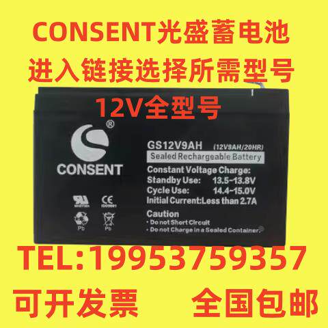 CONSENT光盛蓄电池GS-12V7A9A12A17A20A24A38A65A100AH消防/UPS