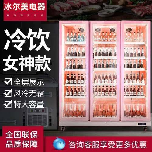 酒吧冰柜商用啤酒冷柜双门饮料冷藏柜保鲜展示柜超市冰箱三门