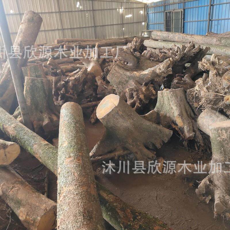 四川金丝楠木加工厂家小叶桢楠阴沉木乌木金丝楠原木家装材料