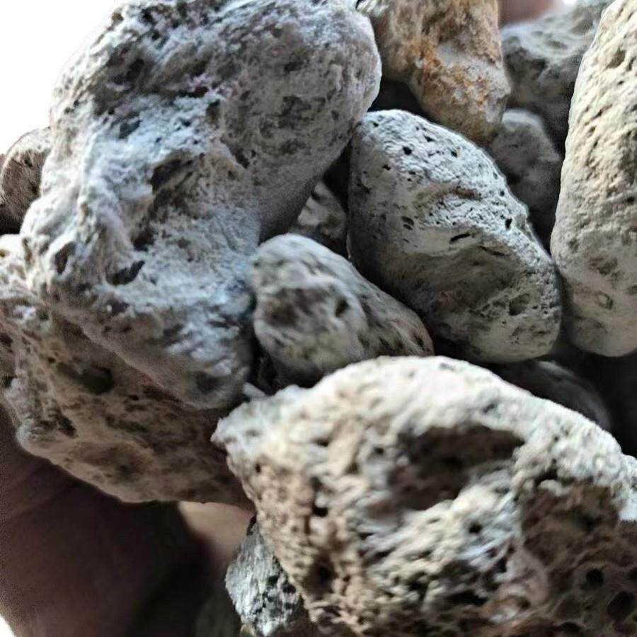 轻石浮石研磨兰花过滤垫底疏松苔藓微景观海浮石水族造景疏松透气