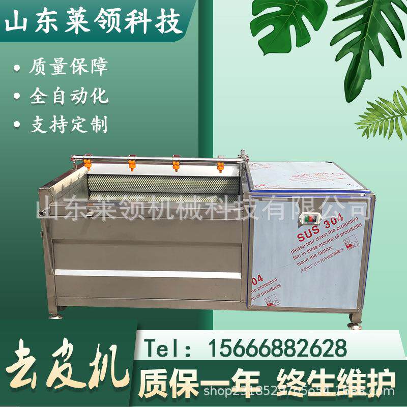 优质土豆去皮清洗机胡萝卜农产品清洗设备不锈钢毛辊洗红薯机器