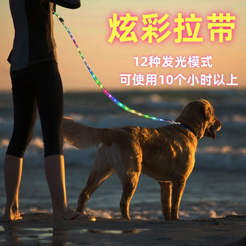 炫彩可变色宠物牵引绳户外狗LED发光牵引 USB大容量充电发光拉带
