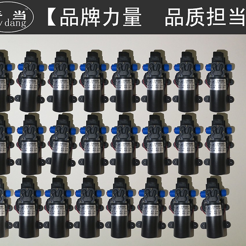 包邮 4分接口小水泵家用微型水泵自吸泵直流12V抽水泵电泵