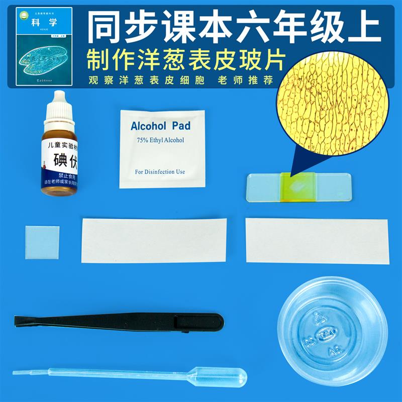 科技小制作观察洋葱表皮细