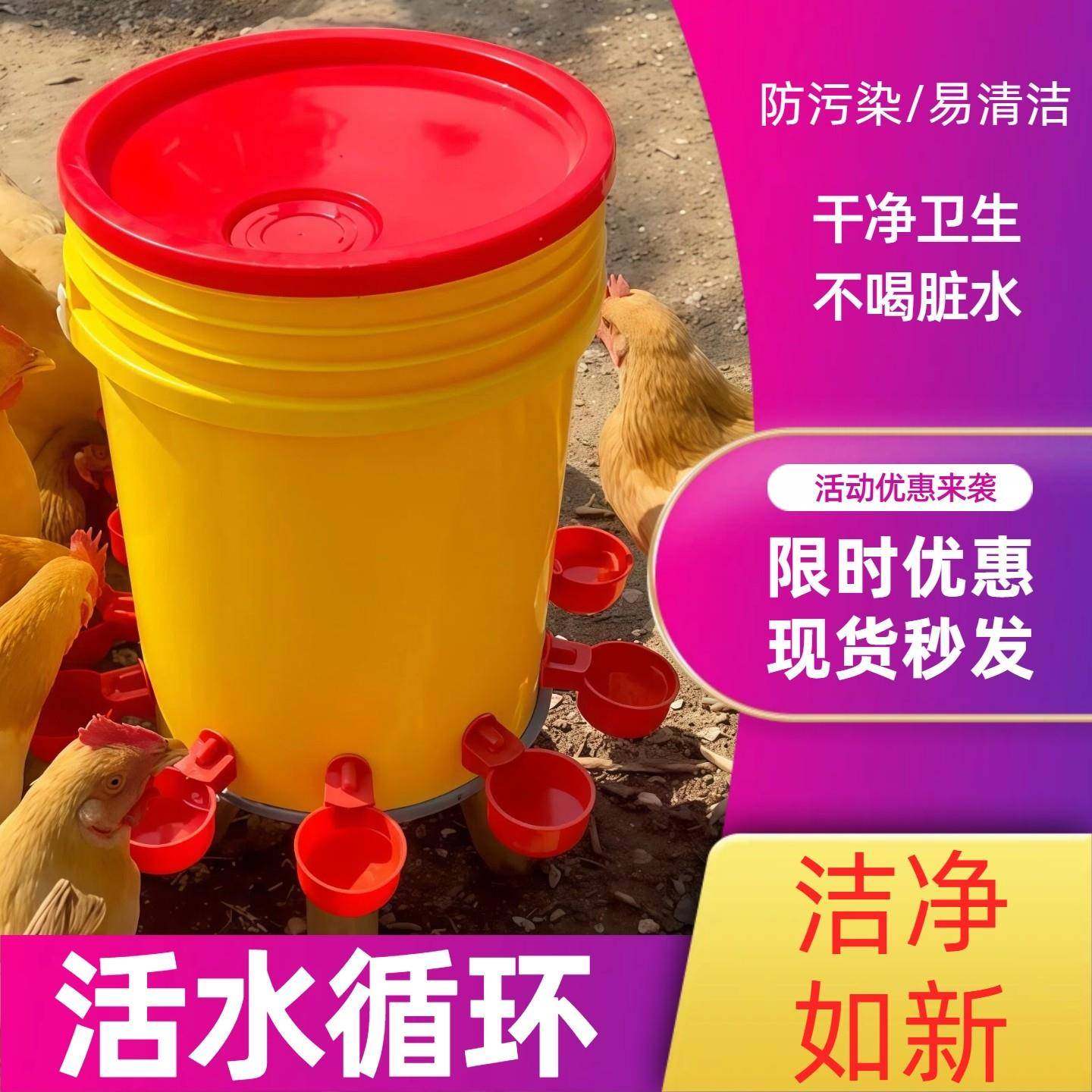 新款鸡用饮水器鸭子喝水全自动出远门喂鸡懒人神器新型家禽喂水器,宠物/宠物食品及用品,鸟禽喂食器/喂水器,淘宝优惠券,粉丝福利购,淘宝优惠卷