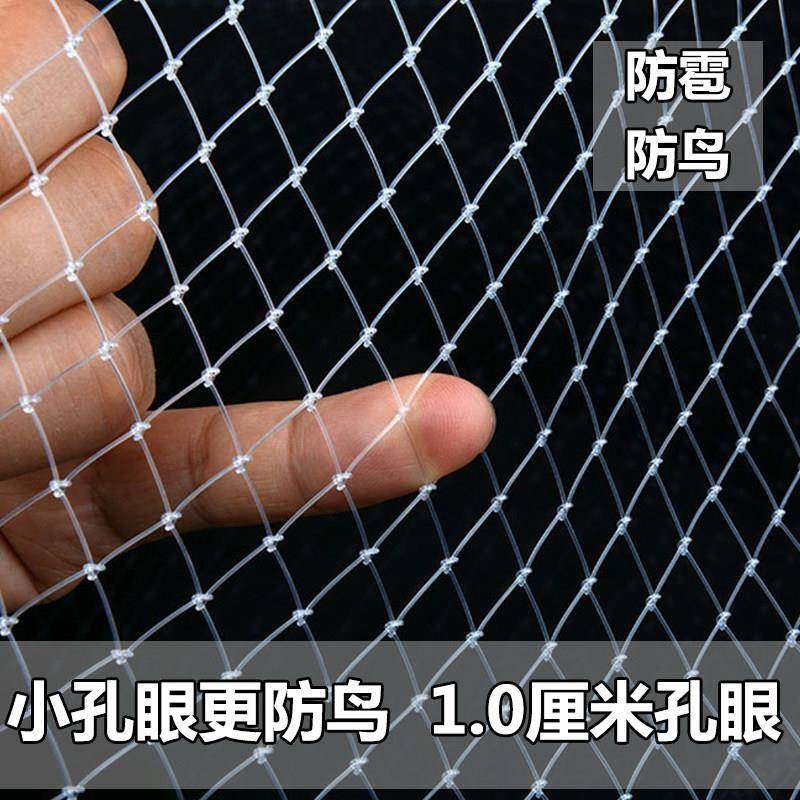 农用果树防鸟网用网护网防鸟线网隔离的丝网防鸟罩小孔菜地围网子,农机/农具/农膜,农用防鸟网,淘宝优惠券,粉丝福利购,淘宝优惠卷