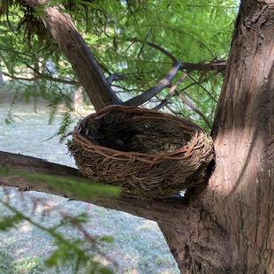 爆款松针编织鸟窝鸟巢鹦鹉窝小鸟巢孵化保暖鸟窝
