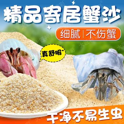 寄居蟹专用沙专用海沙蟹饲