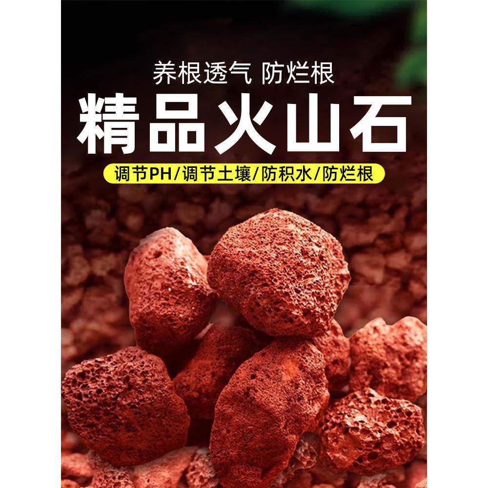 火山石蝴蝶兰专用颗粒养花多肉花营养土鱼缸底沙滤材小铺面石红岩