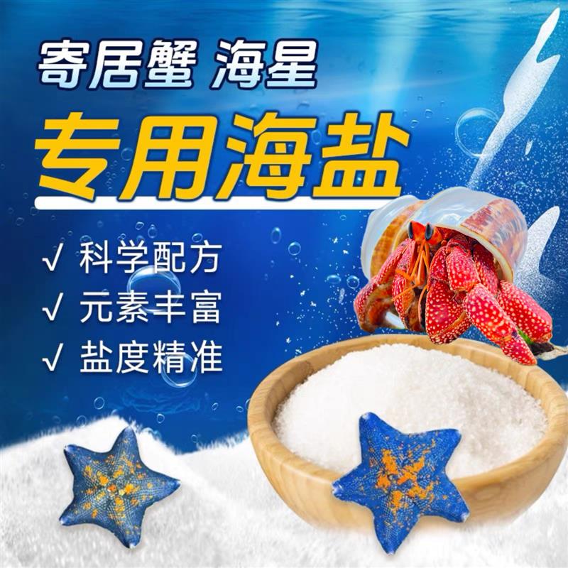 寄居蟹专用海盐海星天然海