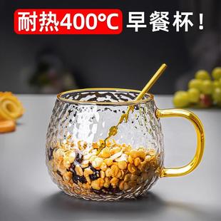 咖啡杯玻璃耐高温杯燕麦早餐杯家用牛奶杯带盖勺高硼硅水杯女带把