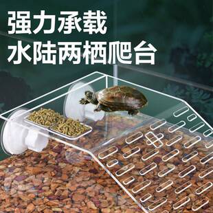 乌龟爬坡晒台爬台高水位龟缸造景乌龟晒台休息晒背台水族龟缸浮岛