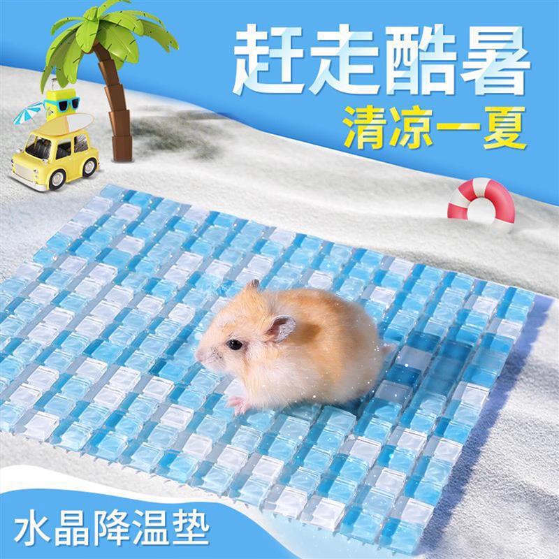 仓鼠夏天冰垫金丝熊仓鼠夏