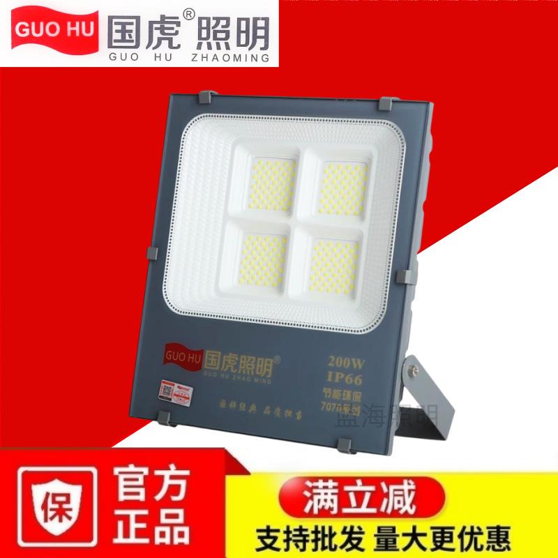 国虎照明led投光灯100W户外防水球场室外广告招牌工地仓库照明灯