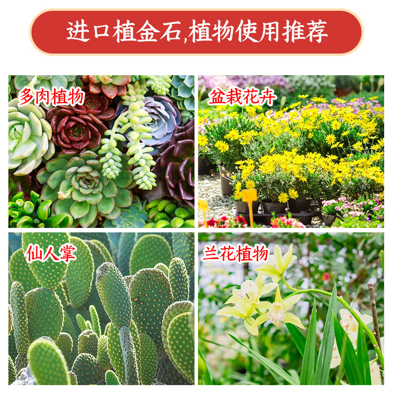 植金石兰花专用石料q原装颗粒石兰花铺面拌土营养土优质疏松