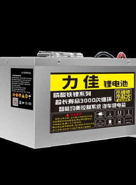 速发电动车磷酸0锂48v6铁v7力v大容量动2三轮车四轮车专用锂电瓶