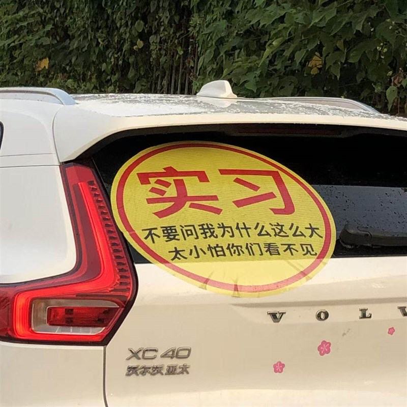 速发司机新手车贴搞笑实习标志上路车贴纸超大单孔透大号实习贴纸