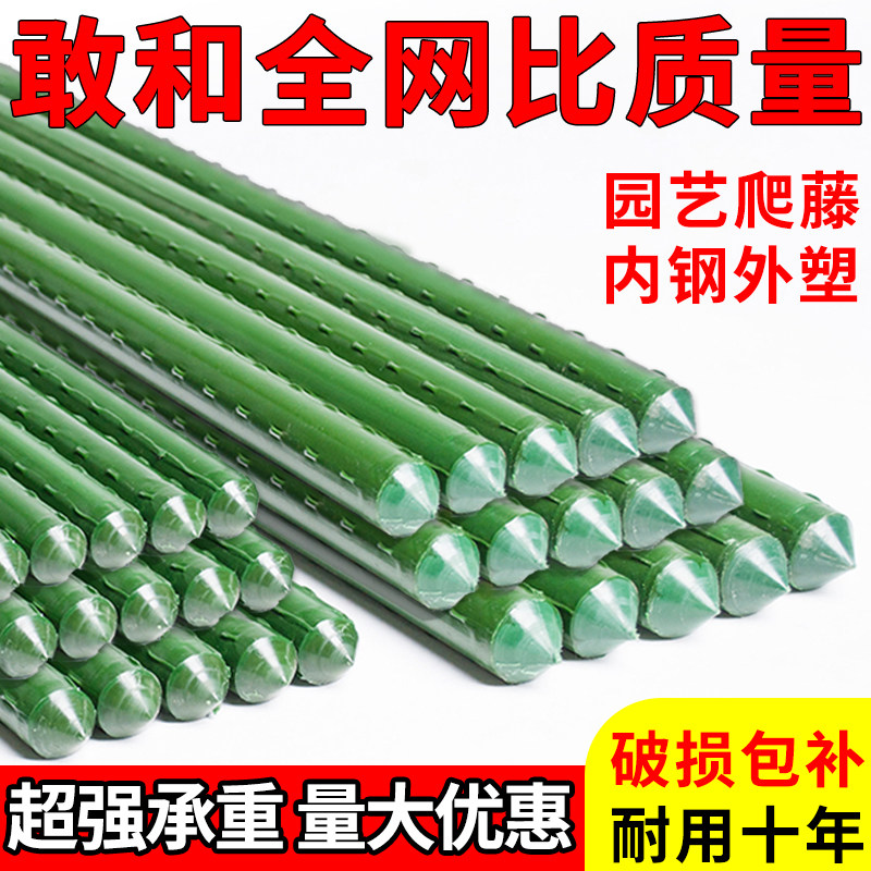 速发花架爬花架葡种黄瓜豆角架杆藤支撑架庭院户外月季萄菜棚架支