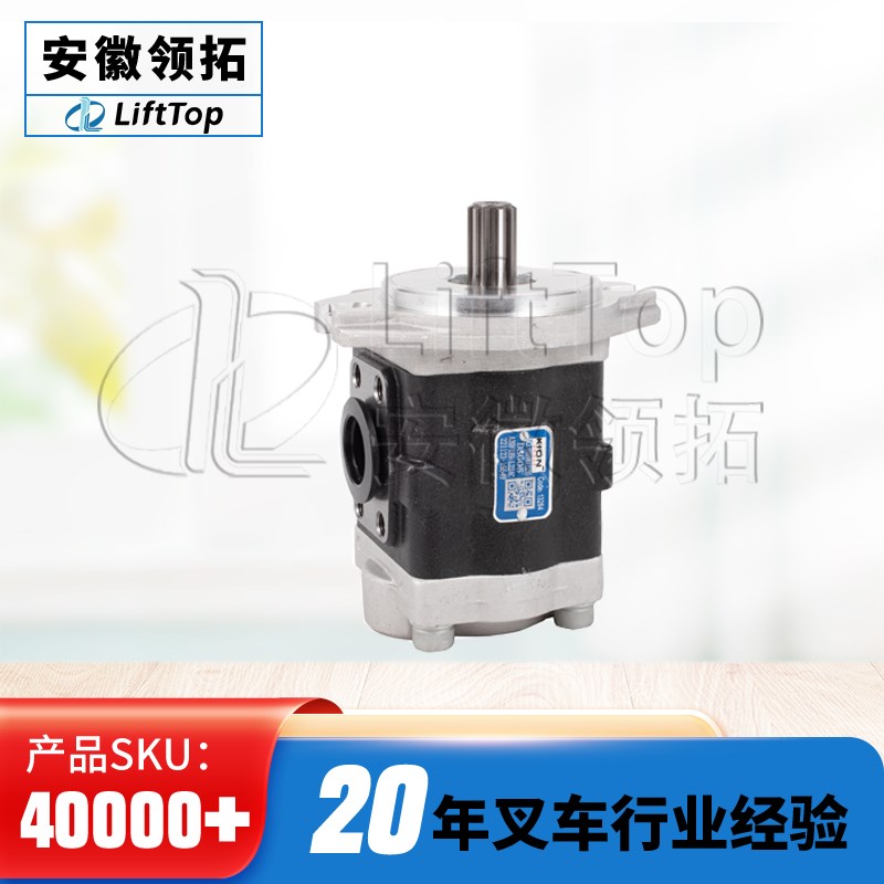 液压泵齿轮泵高压油泵岛津低噪音齿轮泵(宝骊)DSG05A20F1H9-L224C