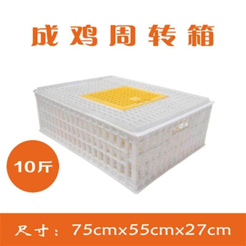 2017熟胶塑料鸡笼运输成鸡周转箱活鸡筐肉鸡框朔料装鸡鸭子的笼子