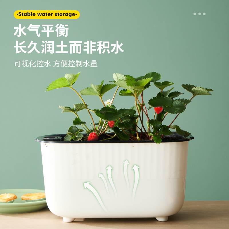 草莓盆栽专用盆长形花盆种花室内四方长方型阳台种菜种植盆免浇水