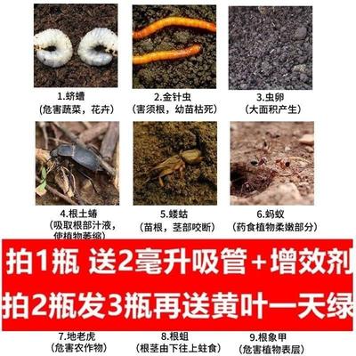 Generar insecticide CEEfor flowesand plants thrips, aphidls