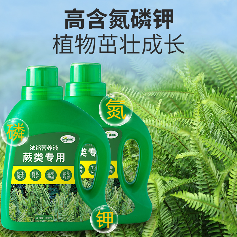 蕨类植物营养液铁线蕨肥料霸王绝专用肥鹿角蕨狼尾蕨水培盆栽绿植