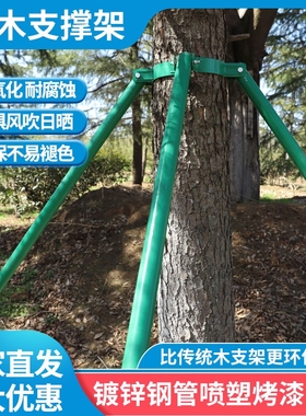 树木支撑架脚架镀锌钢管乔木固定器绿色松木金属杉木园林支架杆