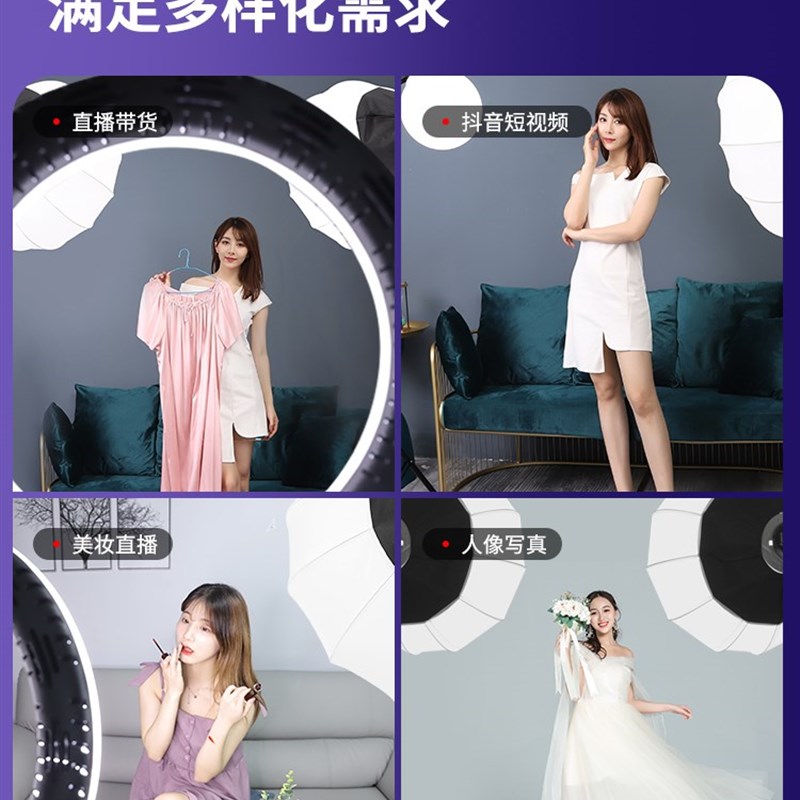 SL400W三色太阳调光美颜直播间补光灯专业布置球形设备全套摄影主