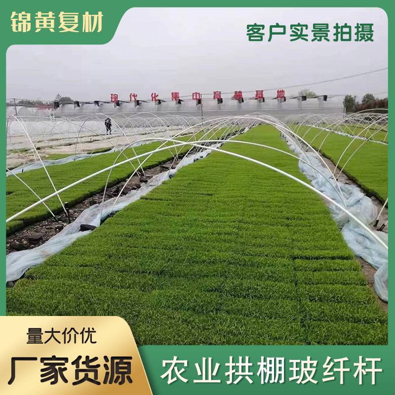 大棚骨架玻璃纤维新型小拱棚支架实心蔬菜地膜拱杆保温棚支撑农用