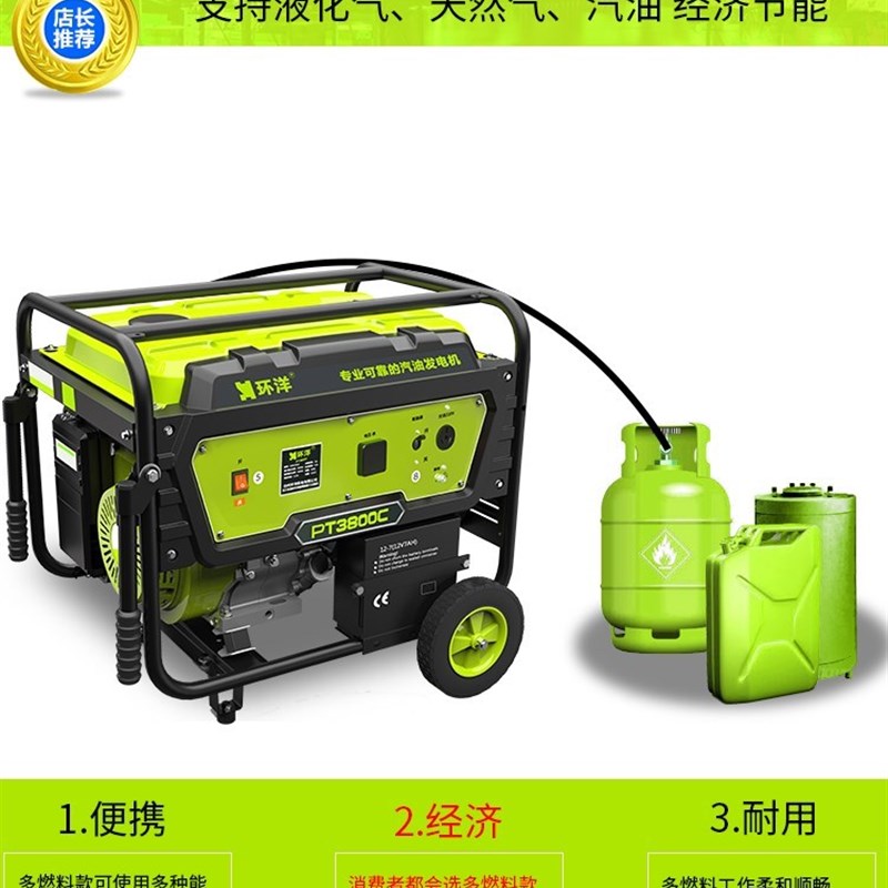 德国进口汽油发电机2kw3000w5kw8千瓦家用多燃料小型静音单相220v