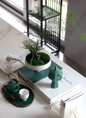 新中式陶瓷绿植文竹盆景栽茶具托盘套餐楼阁香炉家居客厅桌面摆件