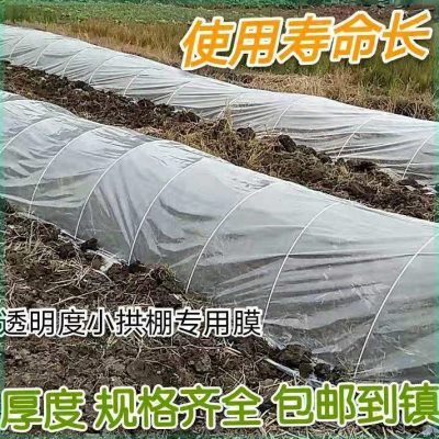 农用小拱棚专用膜大棚内二层膜秧苗水稻西瓜膜加厚保温薄膜塑料布
