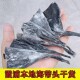 福建霞浦特厚级海带头干货海带根海带苗海带梗凉拌煲汤新鲜营养