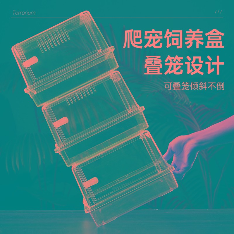 太空盒爬宠饲养盒水晶笼亚克力透明饲养盒守宫蜥蜴专业造景盒