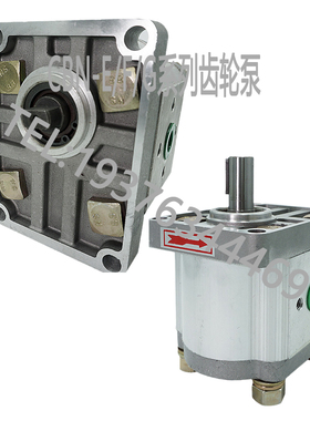 新品齿轮泵CBNF304 CBNF306 CBNF308 CBNF325 CBNF310 液压油泵品