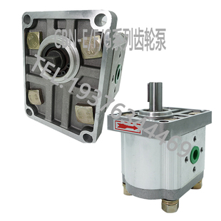 齿轮泵CBNF304 CBNF310 CBNF306 CBNF325 液压油泵品 CBNF308 新品