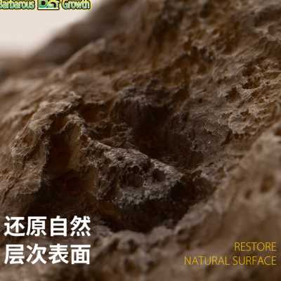 爬宠食盆蜥蜴水盆角蛙寄居蟹泡澡盆姥爷树蛙饲养箱造景饮水盆装饰