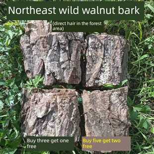 东北长白野生山核桃树皮东北山胡桃皮包邮核桃树枝皮秋子树皮