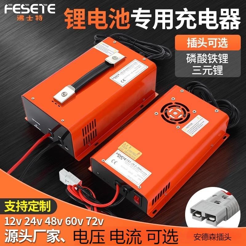 适配户外移动电源12v24v大功率锂电池充电器储能通用三元磷酸铁锂