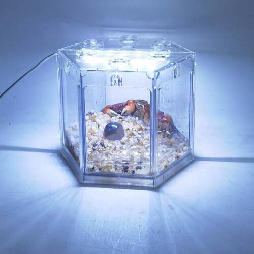 适配小型积木盒鱼缸桌面小鱼缸泰国斗鱼专用微景观创意爬虫螃蟹乌