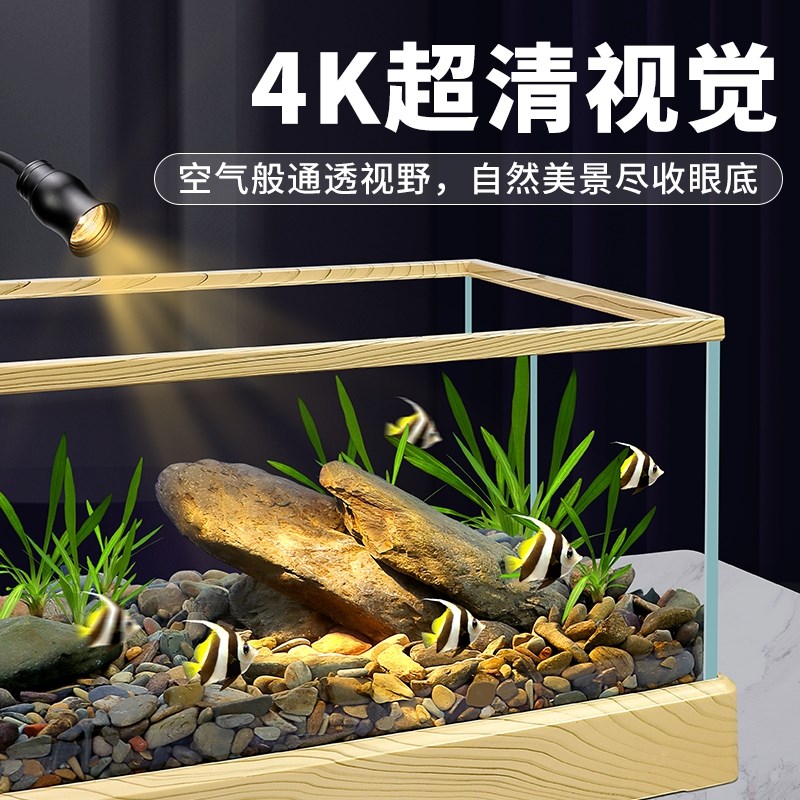 新款南美原生缸热带雨林亚马逊溪流造景缸全套客厅大小型养鱼龟缸